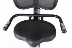 BRX RECUMBENT 300