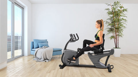 BRX RECUMBENT 3000