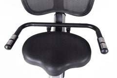 BRX RECUMBENT 300 ERGO