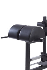 WBX 300
