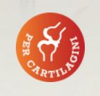 CartiJoint Forte